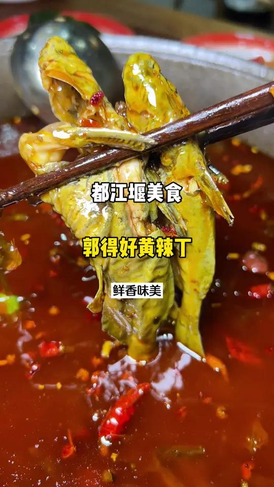 郭得好黄辣丁 都江堰郭得好黄辣丁鱼火锅,每天现熬的鸡加鱼汤,配上鲜嫩的黄辣丁太美味了。都江