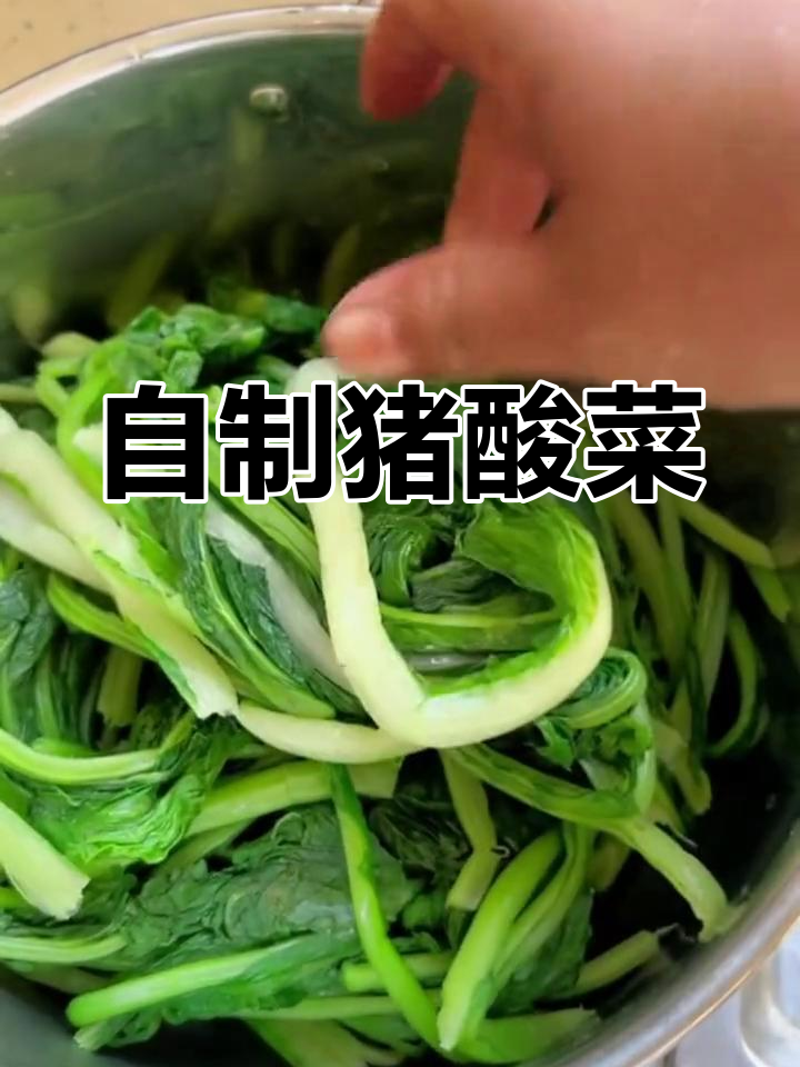 新鲜猪酸菜制作全过程