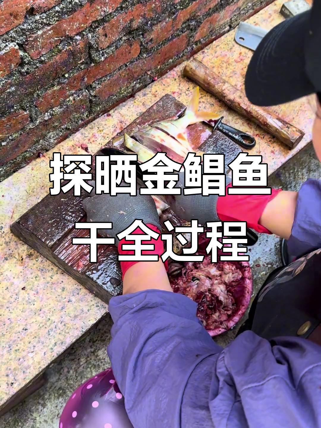 金鲳鱼干制作全流程揭秘,台山海味工艺大公开