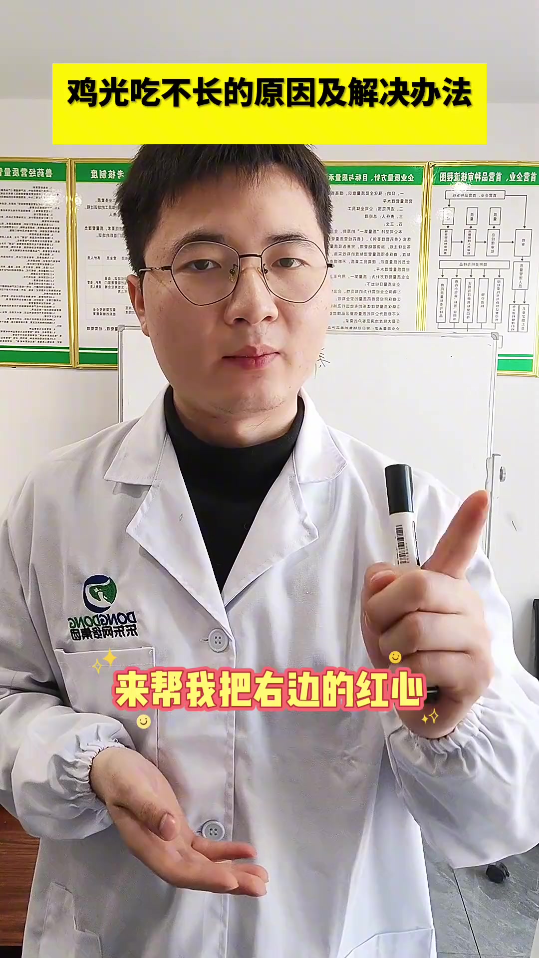 育雏，养鸡人，生态散养土鸡