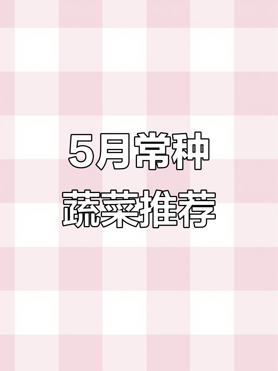 五月露天蔬菜种植指南,轻松掌握常见品种