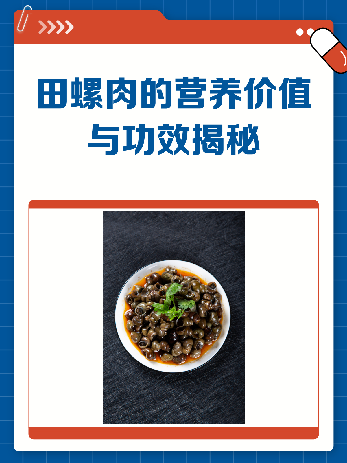 田螺肉,营养满满的小海鲜!