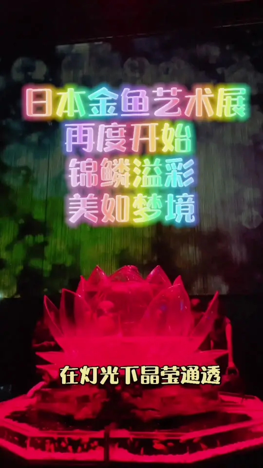 日本人举办世界上最美的金鱼展,你想去看看吗?
