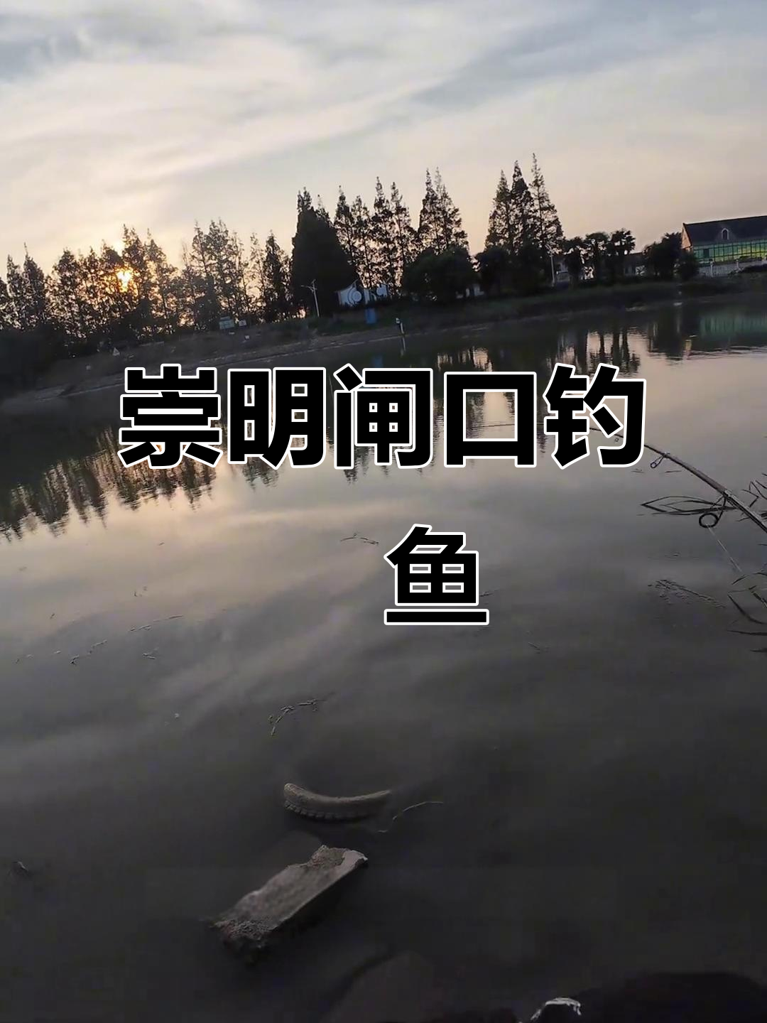 上海崇明闸口钓鳡鱼,轻松解锁二十斤大个体