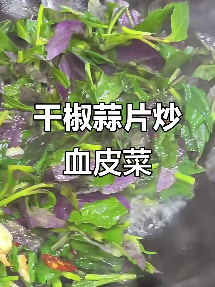 云南特色干椒蒜片炒血皮菜,外焦里嫩的独特美味