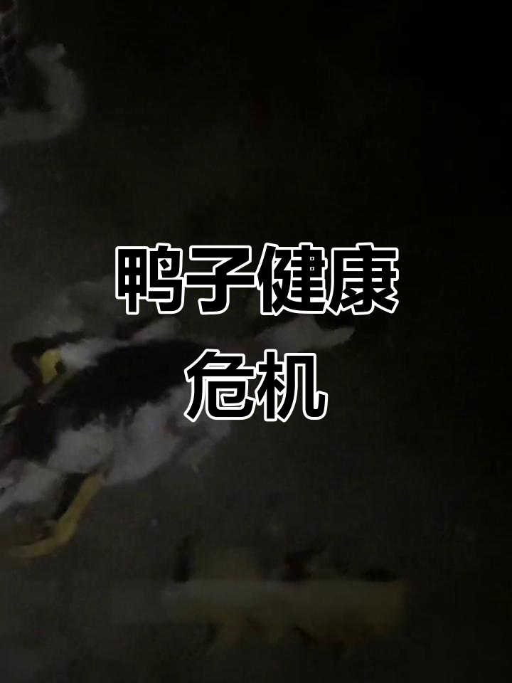 半番鸭12天软脚,治疗无效;水霉中毒频发