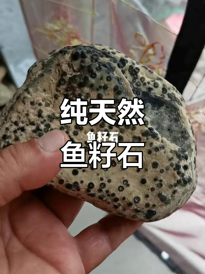 鱼籽石：天然奇石的魅力与好运
