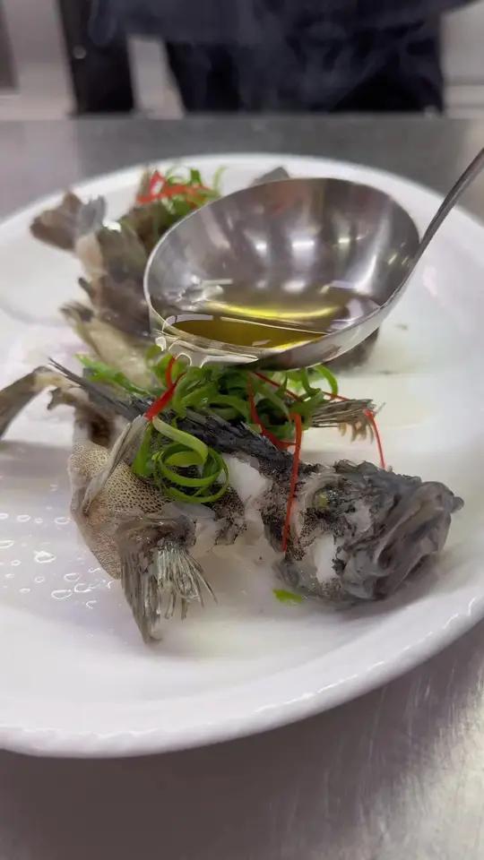 蒸石九公鱼 万物皆可种草搜蒸鱼