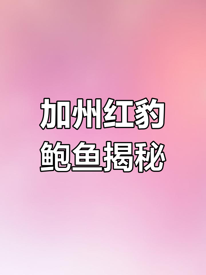 世界上最大的鲍鱼,为何我国不引进?