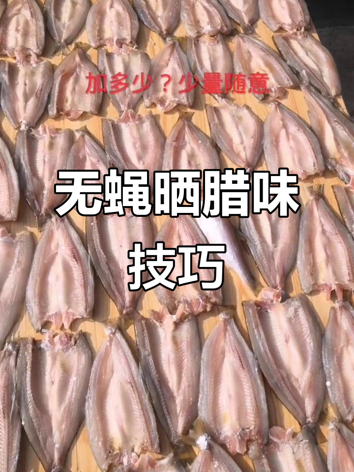 晒鱼干无苍蝇，秘诀竟是白酒和芝麻油