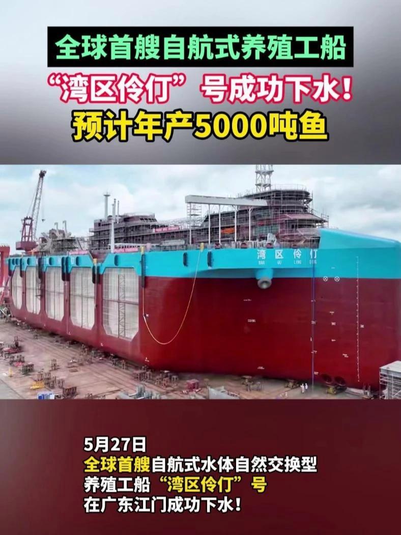 5月27日,全球首艘自航式水体自然交换型养殖工船“湾区伶仃”号成功下水!预计年产5000吨