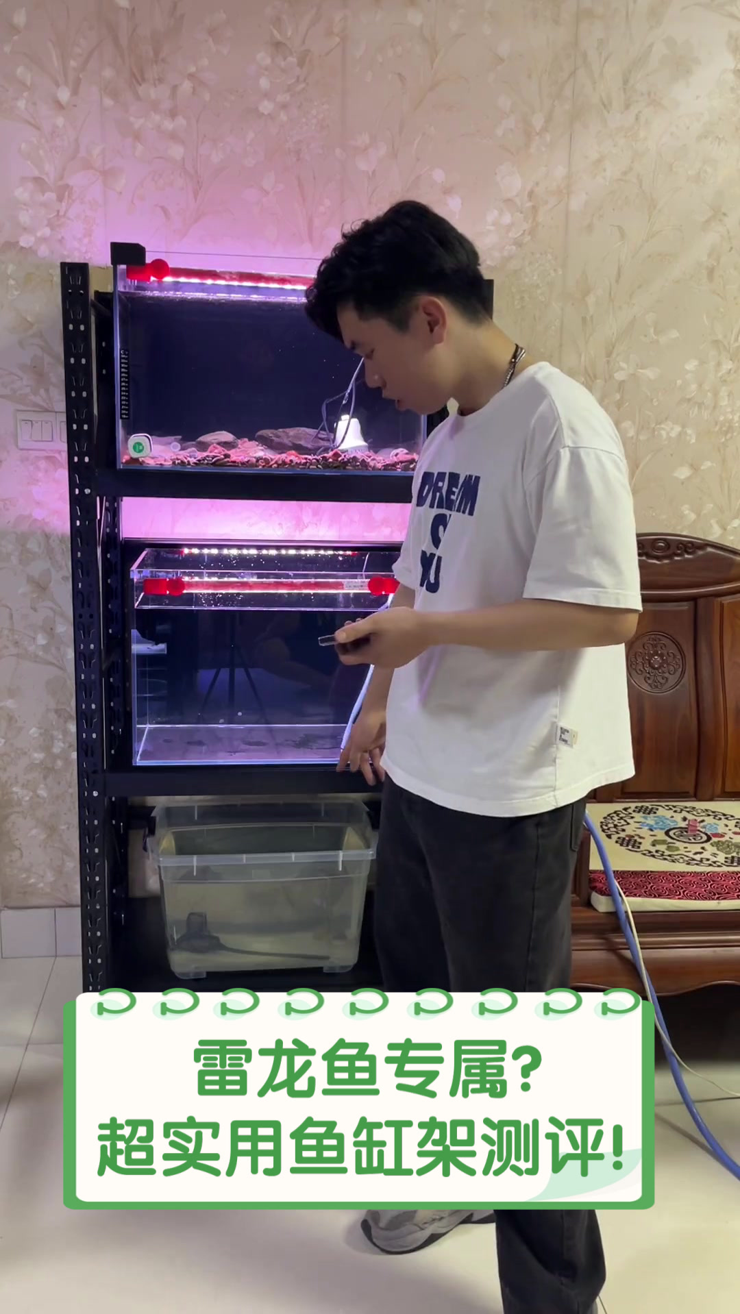 雷龙鱼专属?超实用鱼缸架测评!