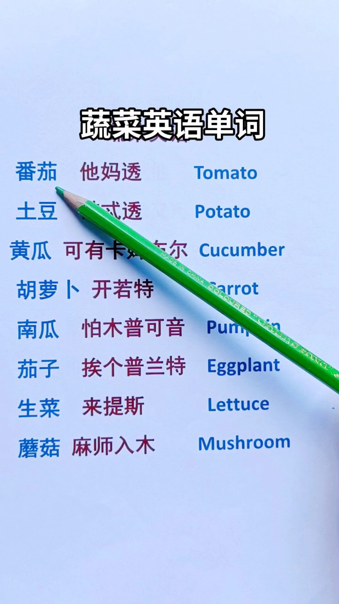 蔬菜英语单词