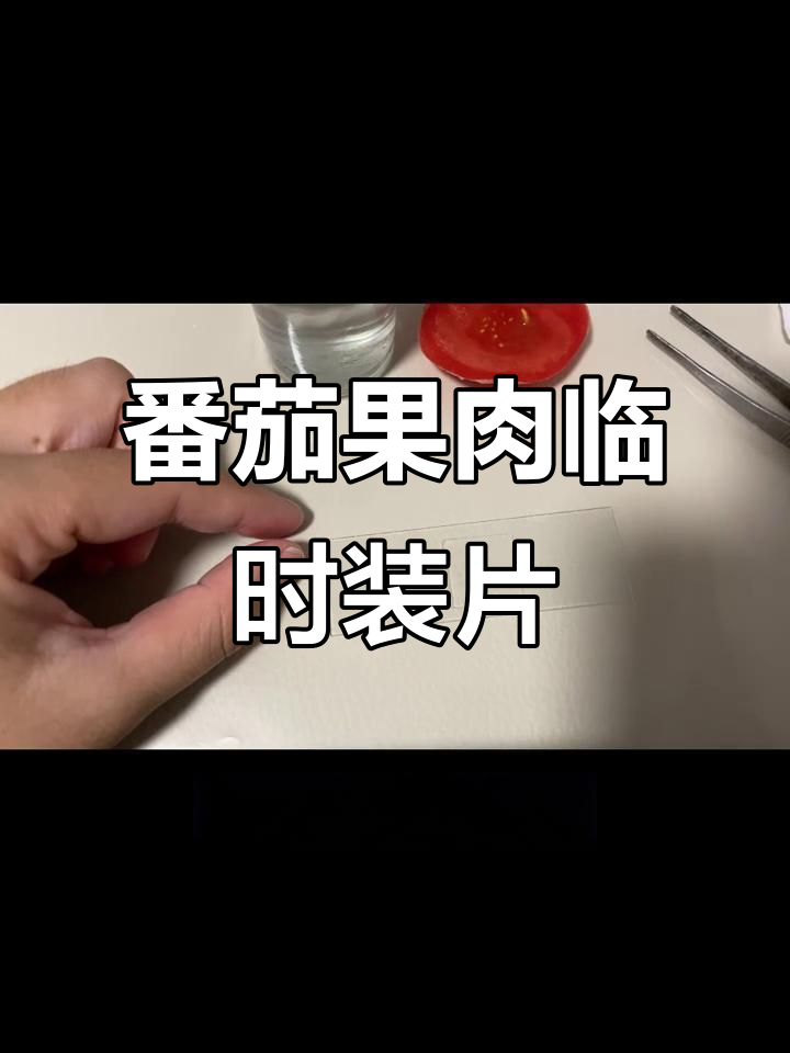 番茄果肉细胞临时装片制作技巧,轻松掌握!