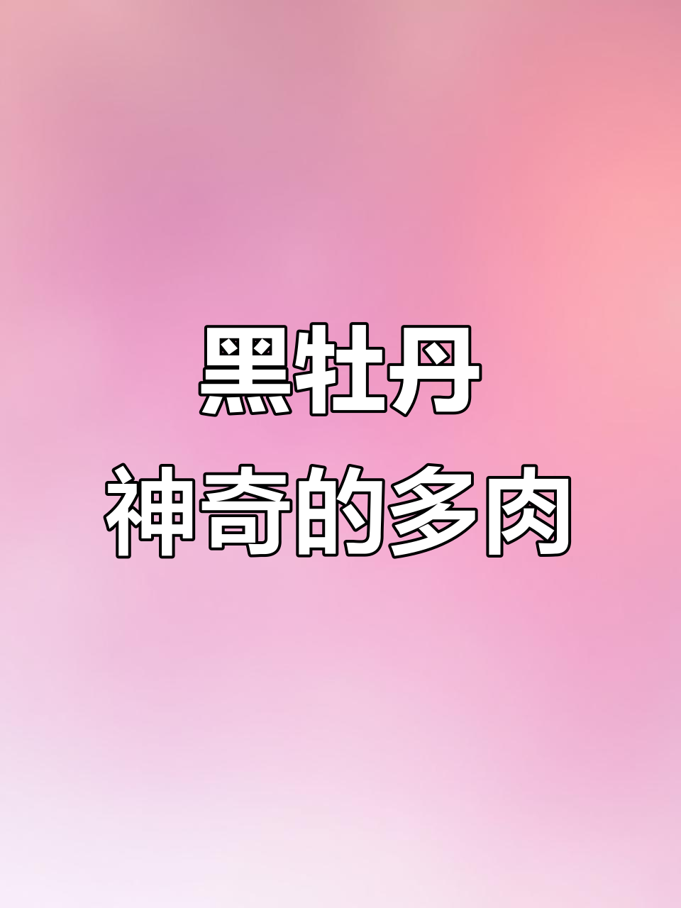 仙人掌黑牡丹：奇特多肉植物，开花惊艳