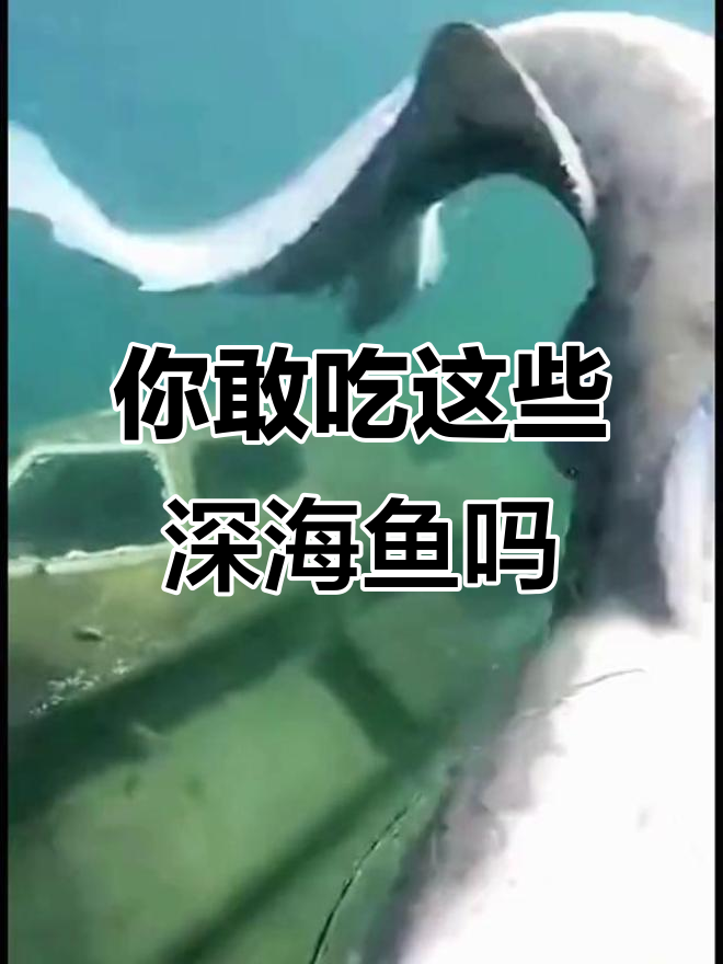 11种深海怪鱼,你敢挑战吗?