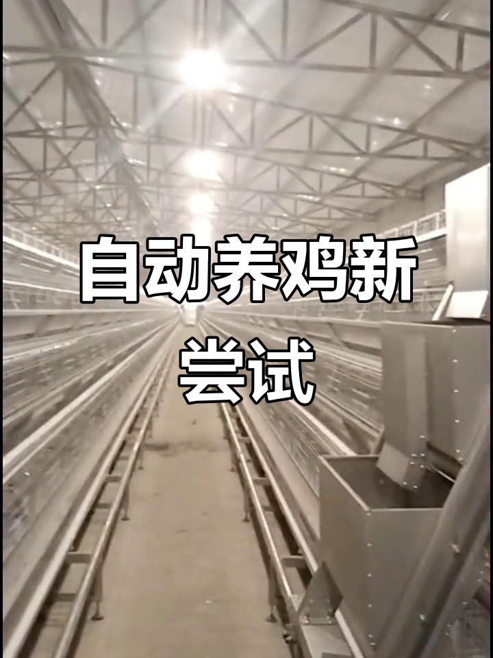 自动化蛋鸡养殖,喂料机试运行,铁槽可站人操作