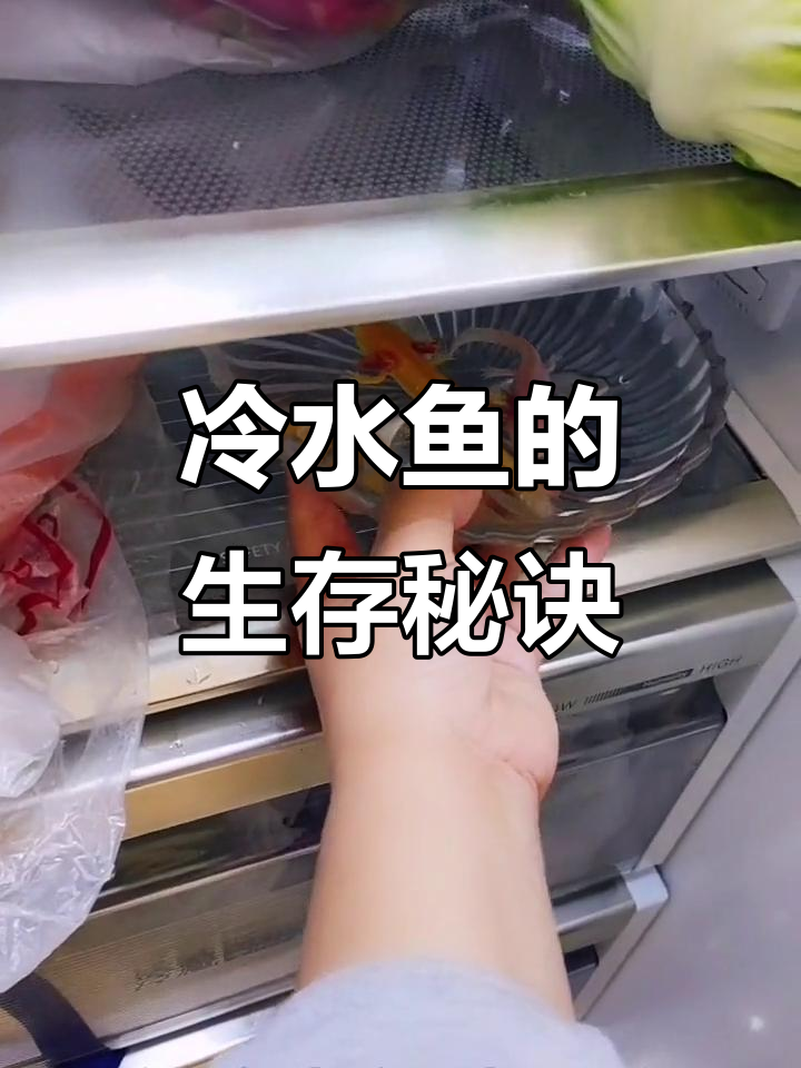 冷水鱼耐寒,但低温下食欲减弱或停止