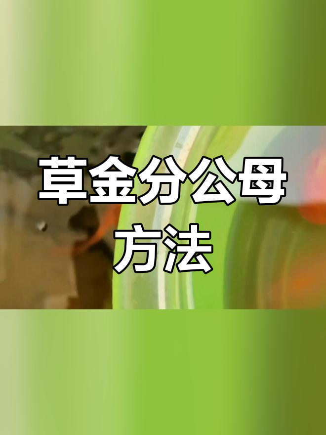 草金公母分辨技巧,白星特征对比