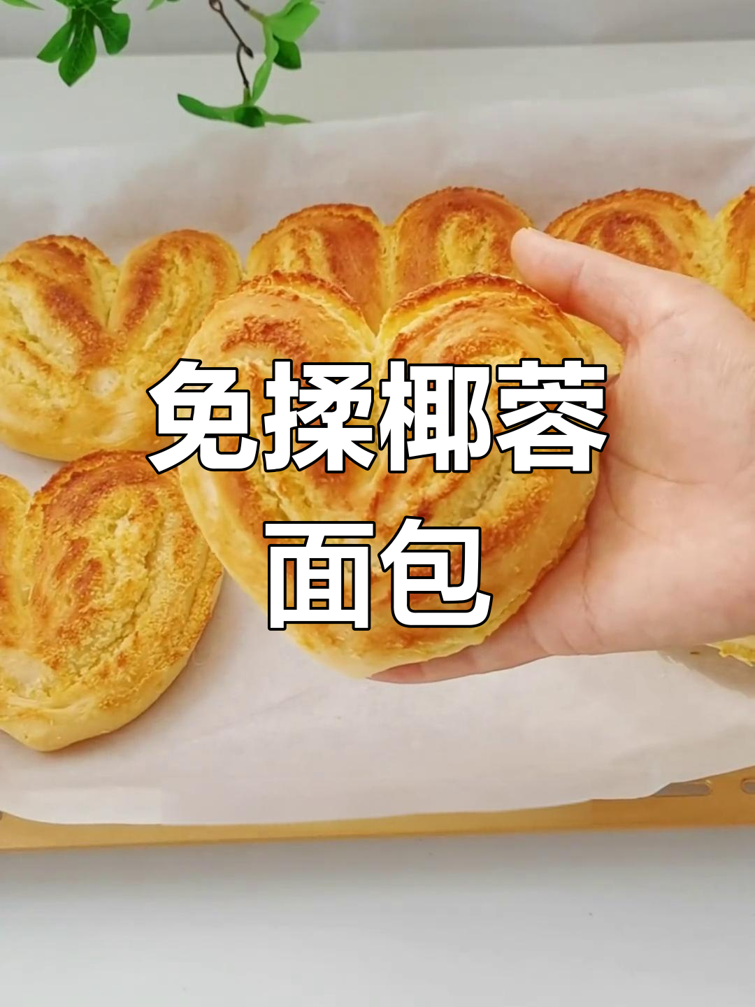 免揉爱心椰蓉面包,简单又美味