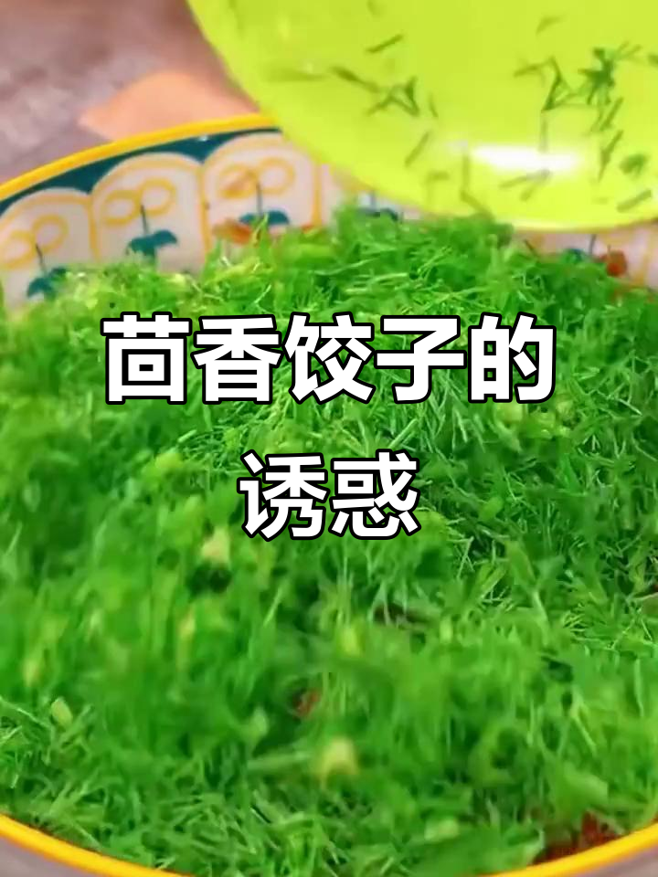 茴香饺子,香气扑鼻,猪肉馅儿让人回味无穷!