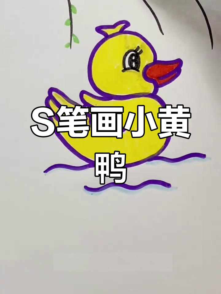 用S笔画可爱小黄鸭,简单又好玩