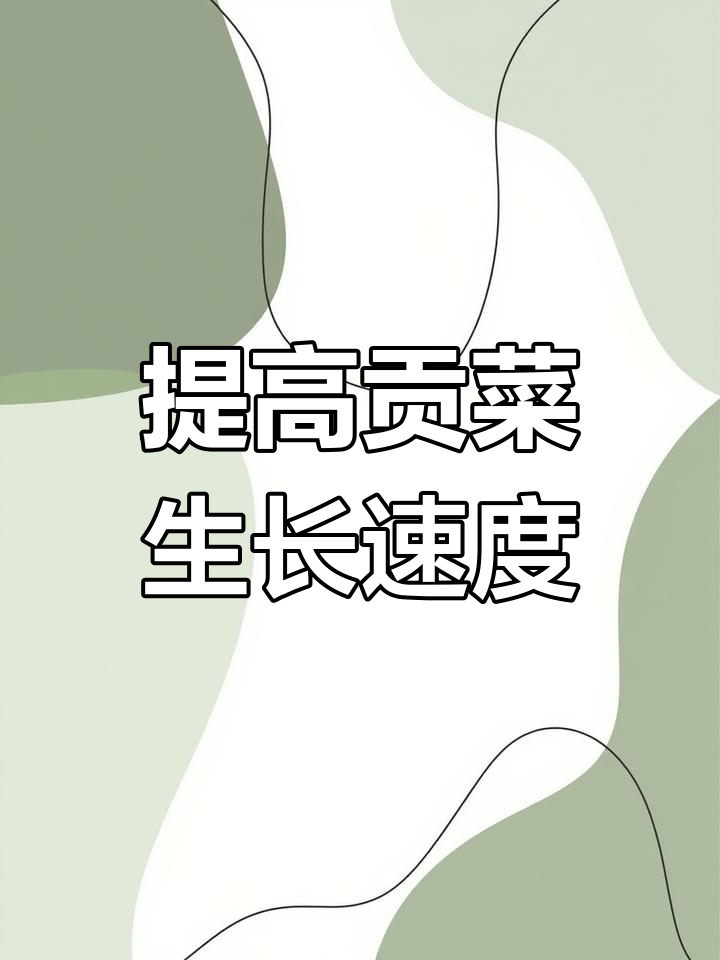 贡菜苗长得慢?试试这个方法