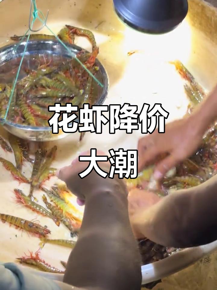 花虾价格暴跌,四十八条只需两位数!养殖人笑疯了