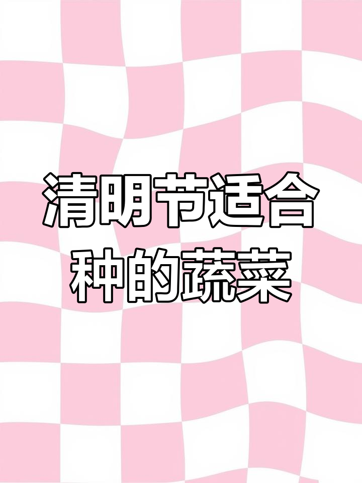 清明节种什么蔬菜最合适?叶菜、豆类、瓜类全攻略