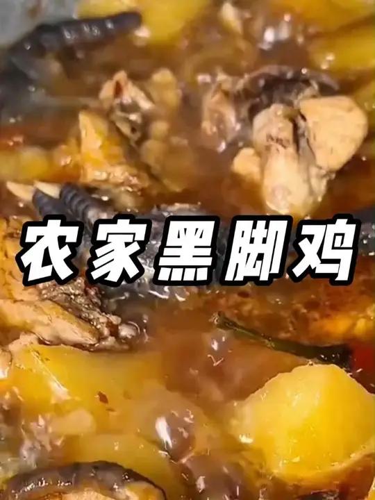 快来家人们,农村散养黑脚老母鸡来活动啦!拍一发三只!