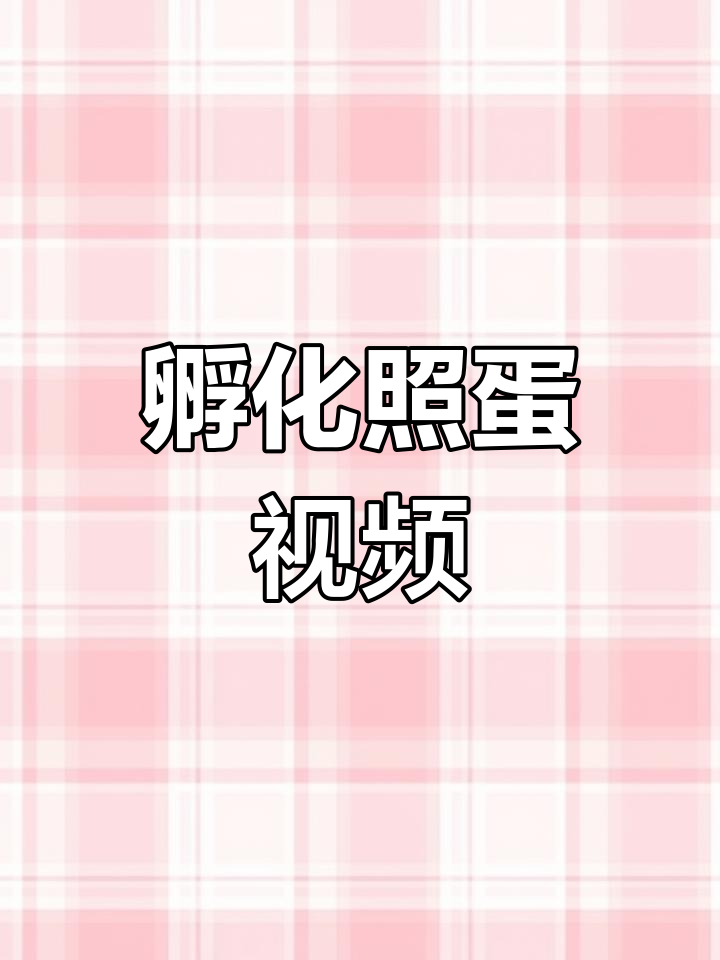 鸭蛋孵化25天全过程