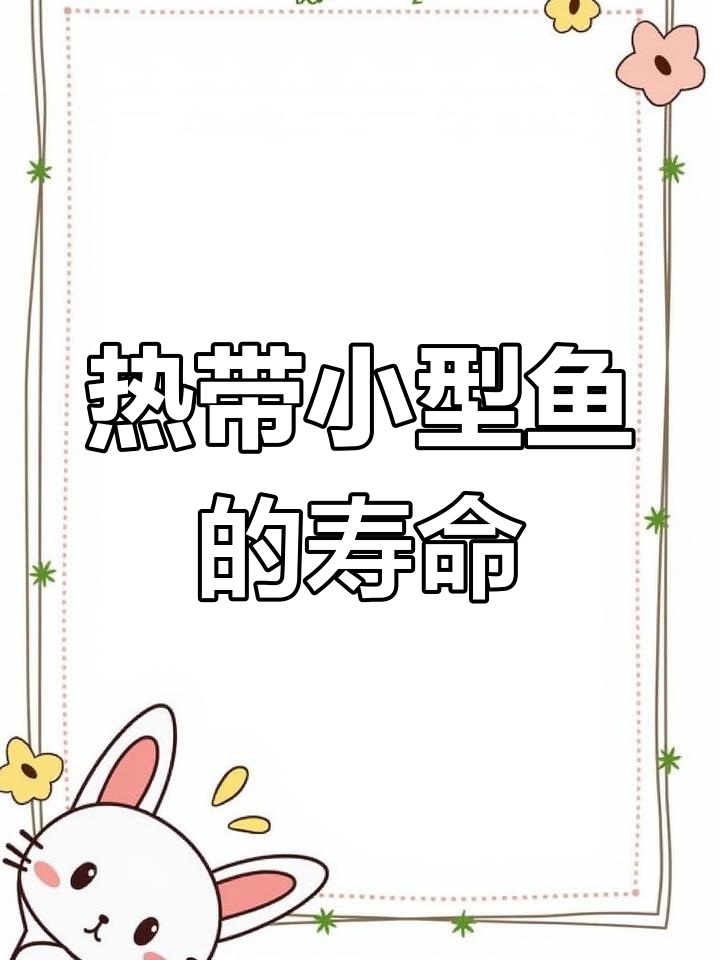 小型热带观赏鱼寿命大揭秘,哪种能活得最长?