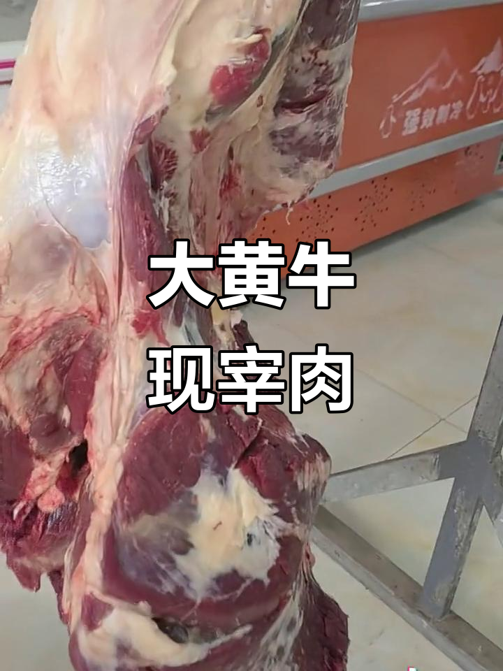 现杀大黄牛肉28.8元一斤,干板黄鱼来袭!