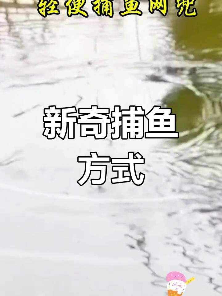 轻松捕鱼新方法,折叠网兜一收满