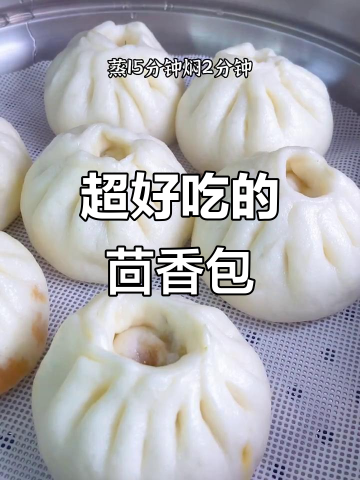 茴香猪肉包子,香气扑鼻!吃了停不下来