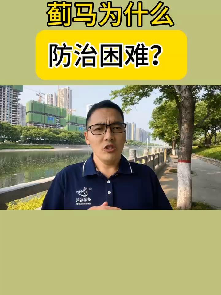 蓟马为什么防治困难?干货分享 病虫害防治 园林绿化 蓟马