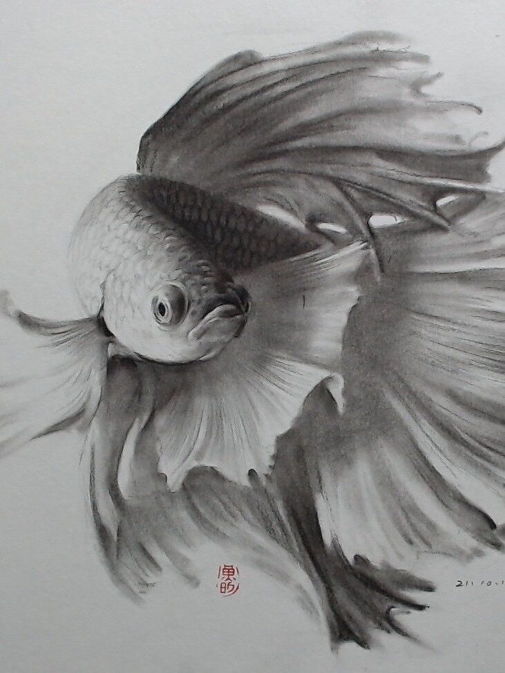 素描课堂实例(斗鱼)