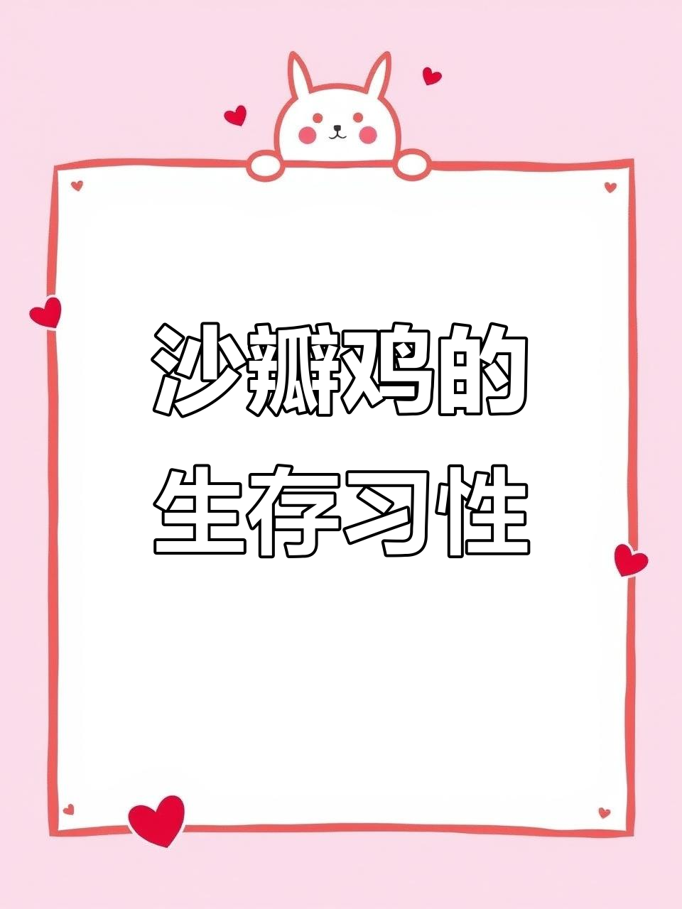 沙半鸡与斑翅山鹑:冬季栖息地、繁殖行为大揭秘