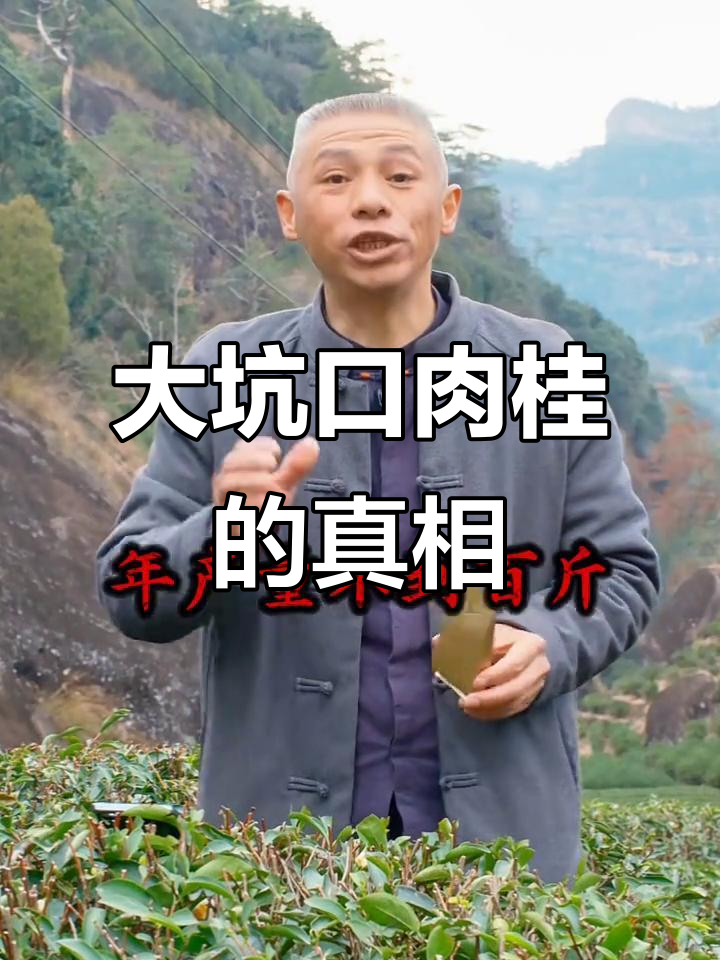 武夷岩茶大坑口肉桂:稀缺性与价格的真实解读