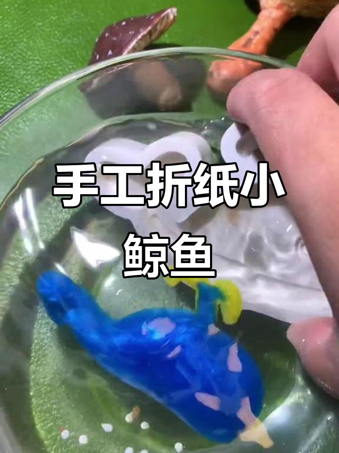 小鲸鱼DIY手工制作,简单步骤教你做可爱小动物