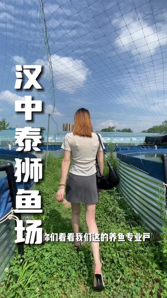 救命!在鱼场被泰狮包围了!每一条都想要,选择恐惧症犯了根本挪不动脚啊
