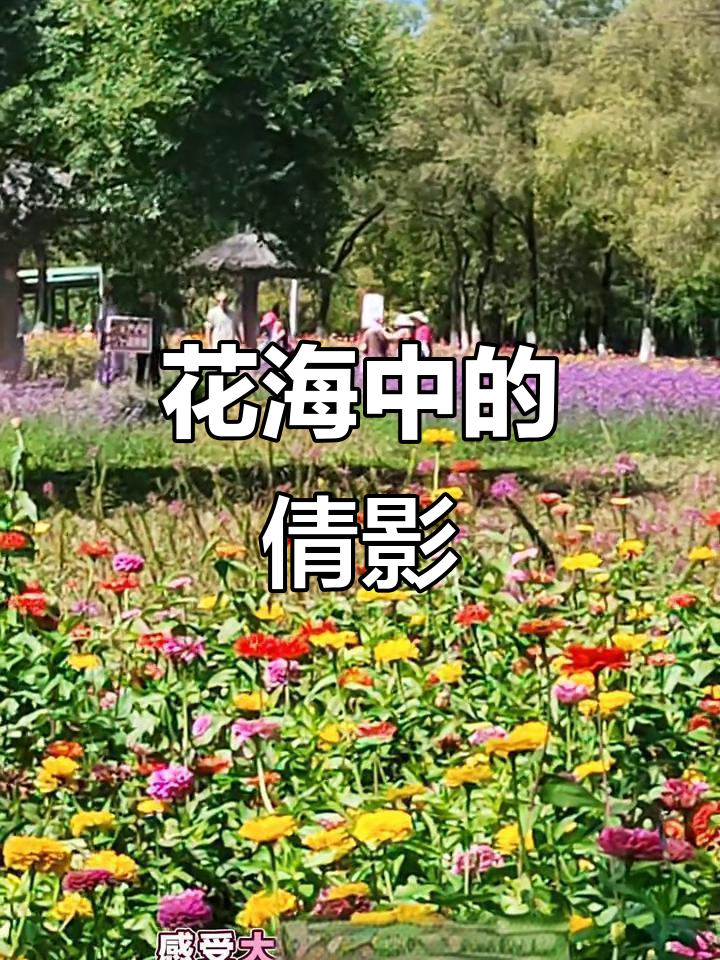 鸡西动植物园,花海如梦,少女们的美丽瞬间
