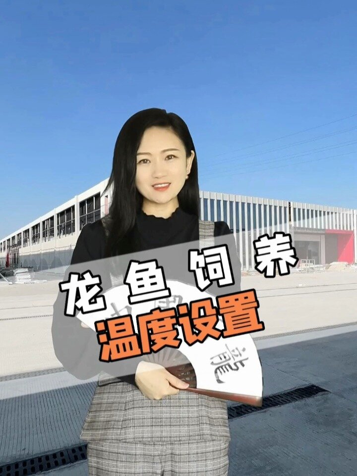 龙鱼饲养的温度设置
