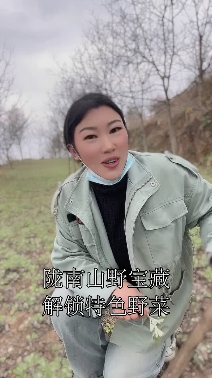 陇南山野宝藏解锁特色野菜