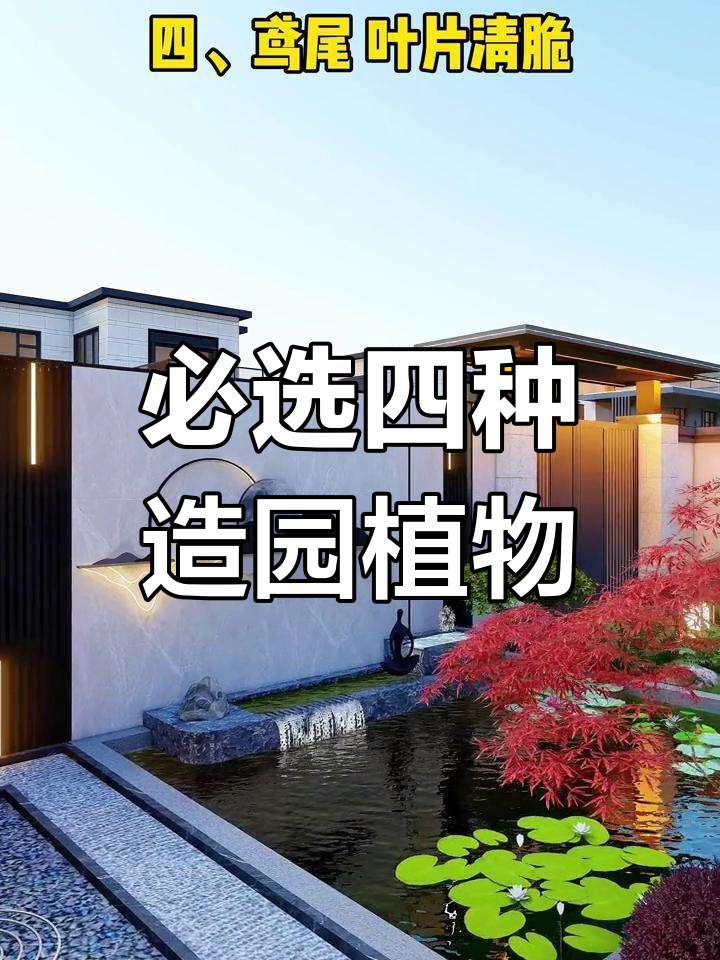 春季鱼池植物搭配,锦鲤都爱!5种美丽水生花推荐