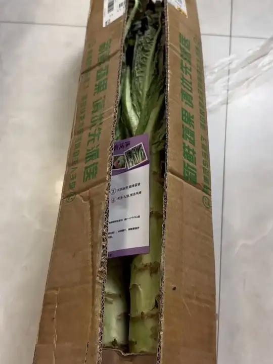 云南高山紫叶香莴笋莴苣当季新鲜露天种植现摘现发火锅时令蔬菜 商品短标题*最多输入10个汉字