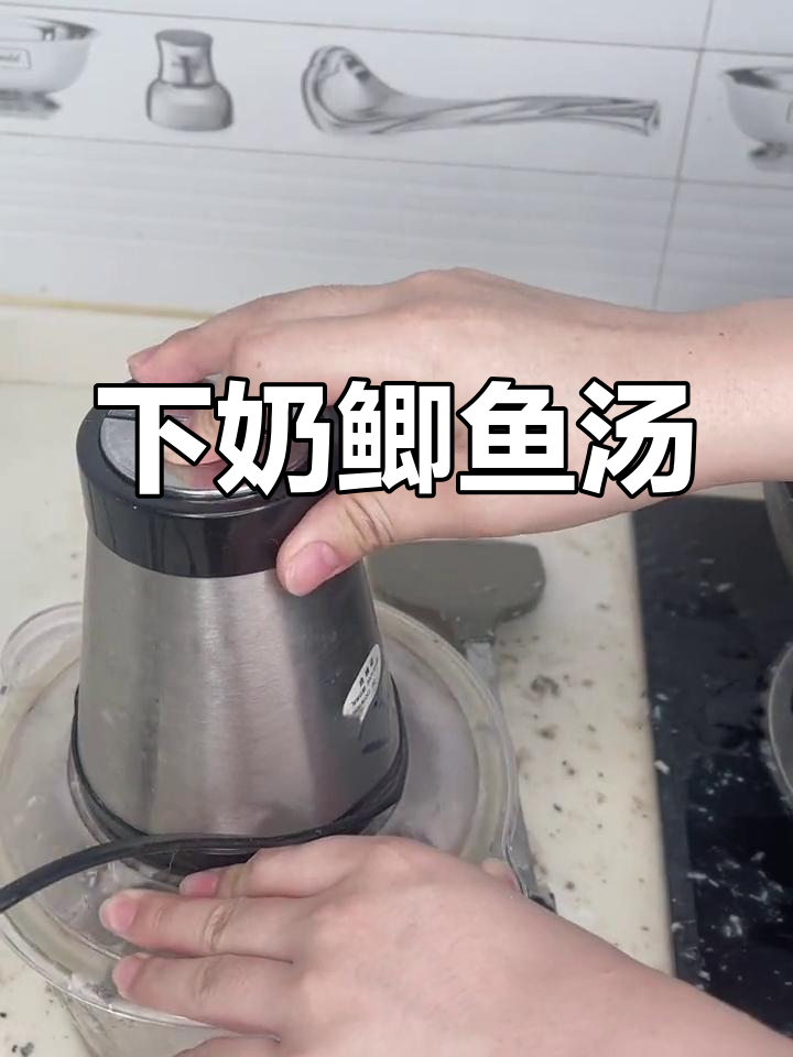 猫咪催奶鲫鱼汤的做法
