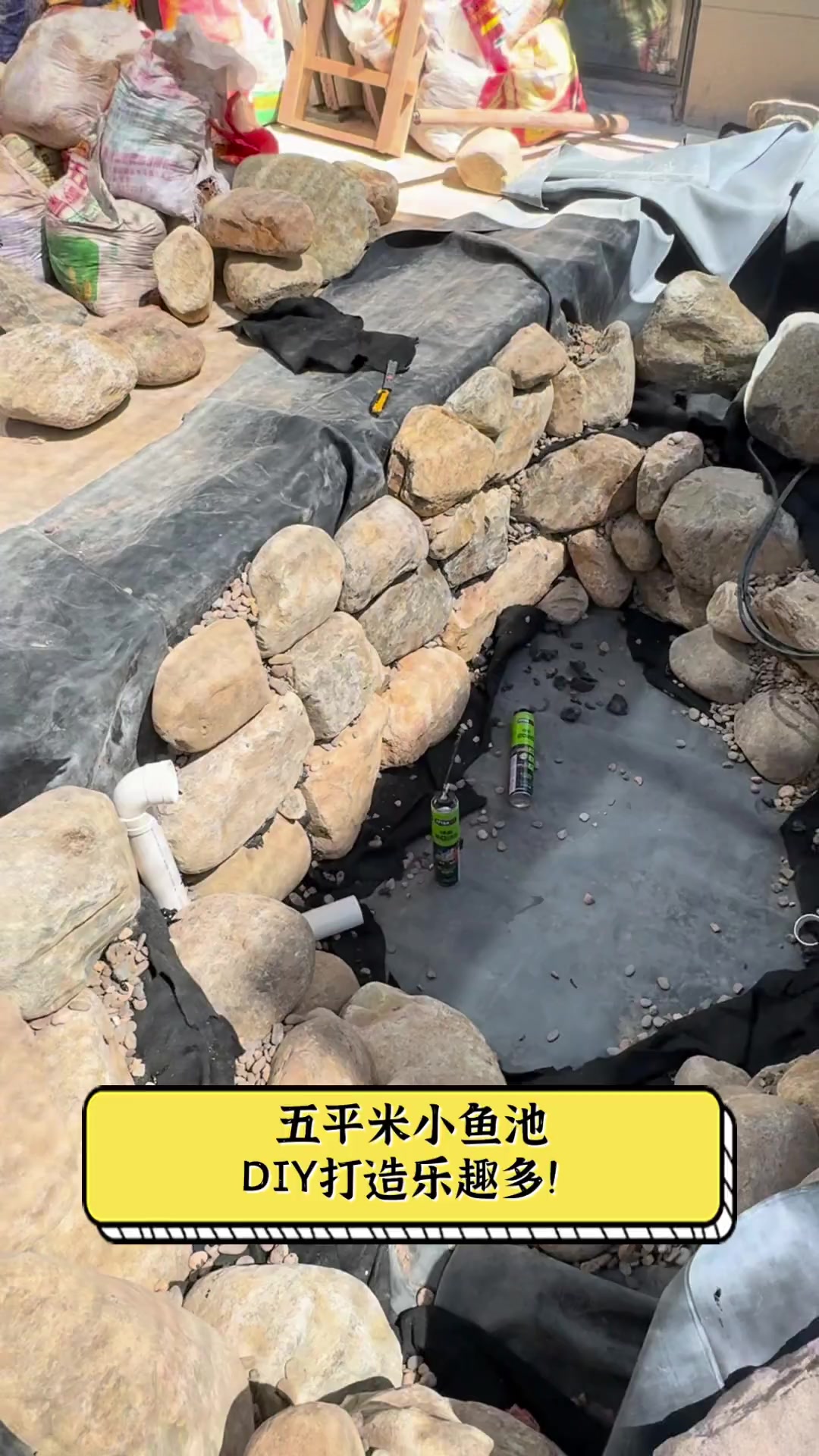 五平米小鱼池,DIY打造乐趣多!