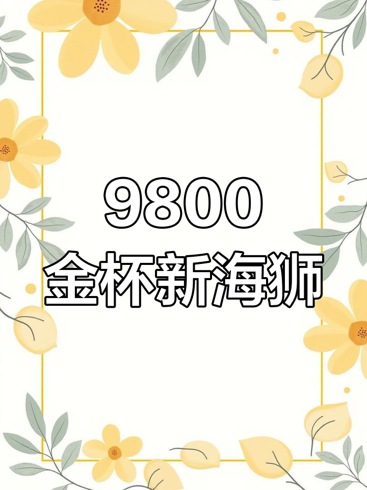 金杯新海狮二手面包车,9800元超值中面货运版