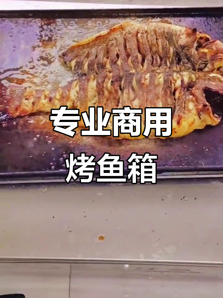 烤鱼店必备!专业商用烤鱼箱,轻松搞定美味